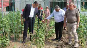 Çarşamba Ovası sular altında kaldı üretici büyük zarar gördü