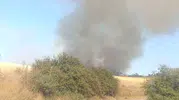 Çanakkale Ezine’de orman yangınına havadan ve karadan müdahale ediliyor