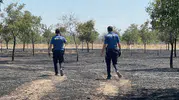 Konya Karatay’da korkutan orman yangını