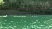 Şırnakta piknik faciası Dicle Nehrinde bot alabora oldu