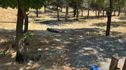 Ankara'da kardeş cinayeti Alacak kavgası ölüme götürdü