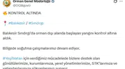Balıkesir Sındırgı’daki orman yangını söndürüldü