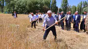 Binali Yıldırım Bayburt'ta geleneksel hasada katıldı
