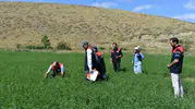 Bayburtlu çiftçinin tarlaları dijital takibe alındı