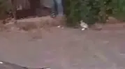 Şanlıurfa sokaklarında dehşet anları