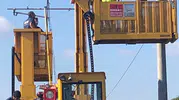 Küçükçekmece'de leylek ölümlerine karşı TCDD'den bilimsel çözüm arayışı