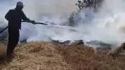 Beyşehir’de sazlık yangını ormana ulaştı, ekipler 5 saat mücadele etti