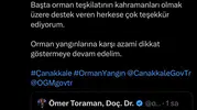 Ayvacık'ta yangın ormana sıçramadan söndürüldü