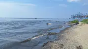 Marmara Denizi'ne arıtılmamış atık gönderen İSKİ’ye 8 milyon lira ceza