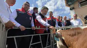 Hayvancılıkta dijital dönem başlıyor Hayvanların artık dijital kimliği olacak