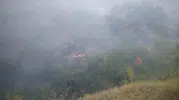 Malatya Pütürge'de ormanlık alanda yangın paniği