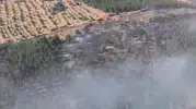 Bilecik ormanlarında korkutan yangın kontrol altına alındı