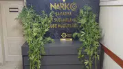 Sakarya'da narkotik operasyonu Bir kişi cezaevine gönderildi
