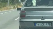 Yolcu koltuğunda buzağı şaşkınlığı