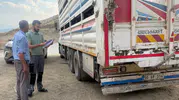 Yüksekova yollarında hayvanlar için titiz sağlık denetimi