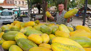 Manisa’nın kayıp lezzeti tavan arasından sofralara geri döndü