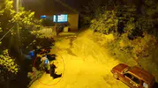 Artvin’de gece baskını Ayı sesi duyan anne ve oğlu eve kaçtı