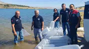 Burdur’un göletlerine binlerce yavru sazan bırakıldı