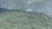 Edremit ormanlarında yangın paniği yaşanıyor