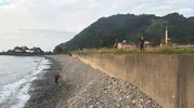 Dalgaların Götürdüğü Çocuk İçin Arama Artvin Sahilinde Sürüyor