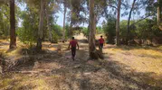 Seydikemer’de bir kişi ormanlık alanda aranıyor