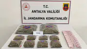 Antalya’da uyuşturucu operasyonu Bir kişi tutuklandı