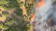 Balıkesir Manyas’ta tarım alanından ormana sıçrayan yangın paniği