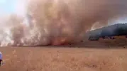 Tunceli'de orman sınırında korkutan yangın