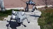 Çin Ay görevlerinde astronotların yanına robot köpekleri ekliyor