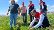 Erzurum çiftçisi mercimek üretimiyle toprağını yeniden kazandı