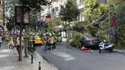 Teşvikiye Caddesi'nde dev çınar yola devrildi, taksi sürücüsü son anda kurtuldu