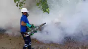 Antalya'da yaz mevsimi mesaisi sineklerle mücadeleyle geçiyor