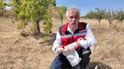 Tekirdağlı çiftçilere tarla faresi uyarısı geldi
