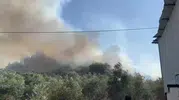 Aksu'da alevler zeytinlikleri tehdit etti Evler kurtarıldı
