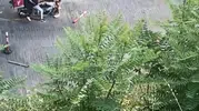 Beyoğlu'nda yarı çıplak saldırgan trafikte dehşet saçtı