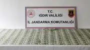 Iğdır'da sahte dolar operasyonu