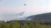 Çanakkale’de orman yangını paniği: Ekipler alevlere karşı amansız bir mücadele verdi