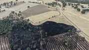 Denizli’de 100 dönümlük arazi küle döndü