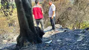 Muğla yangınlarında zarar gören çiftçiler destek bekliyor