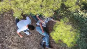 İzmir'de kaybolan yaşlı adamı dronlar ormanda buldu