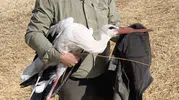 Göç etmedi, ölen eşinin başında 5 gün bekledi