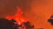 Seydikemer yangınında bir dozer operatörünün cesareti