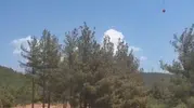 İslahiye’de orman yangını korkuttu