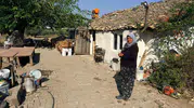 Hortum vurdu aile bahçede yaşıyor