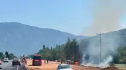 Muğla Menteşe yolunda korkutan yangın kontrol altına alındı