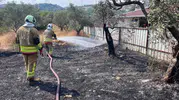 Hatay'da zeytinlikleri saran alevlere karşı zamana karşı yarış