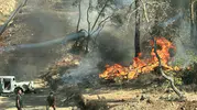 Fethiye'de kamyonet yangını ormana sıçradı