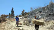 Seydikemer yangınında zarar gören üreticiye destek eli uzandı