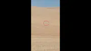 Polatlı merasında kurt sürüsü paniği