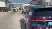 Mudanya’daki çiftlikte yangın felaketi 12 bin tavuk telef oldu